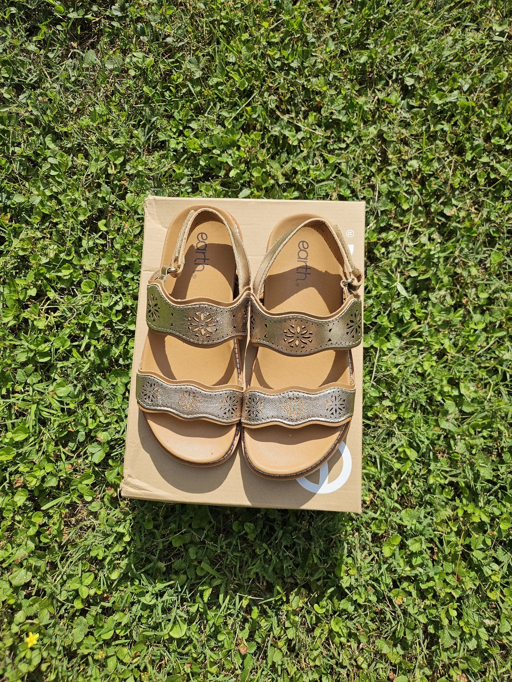 Earth Women's Metallic Brown Leather Sandals NWOT